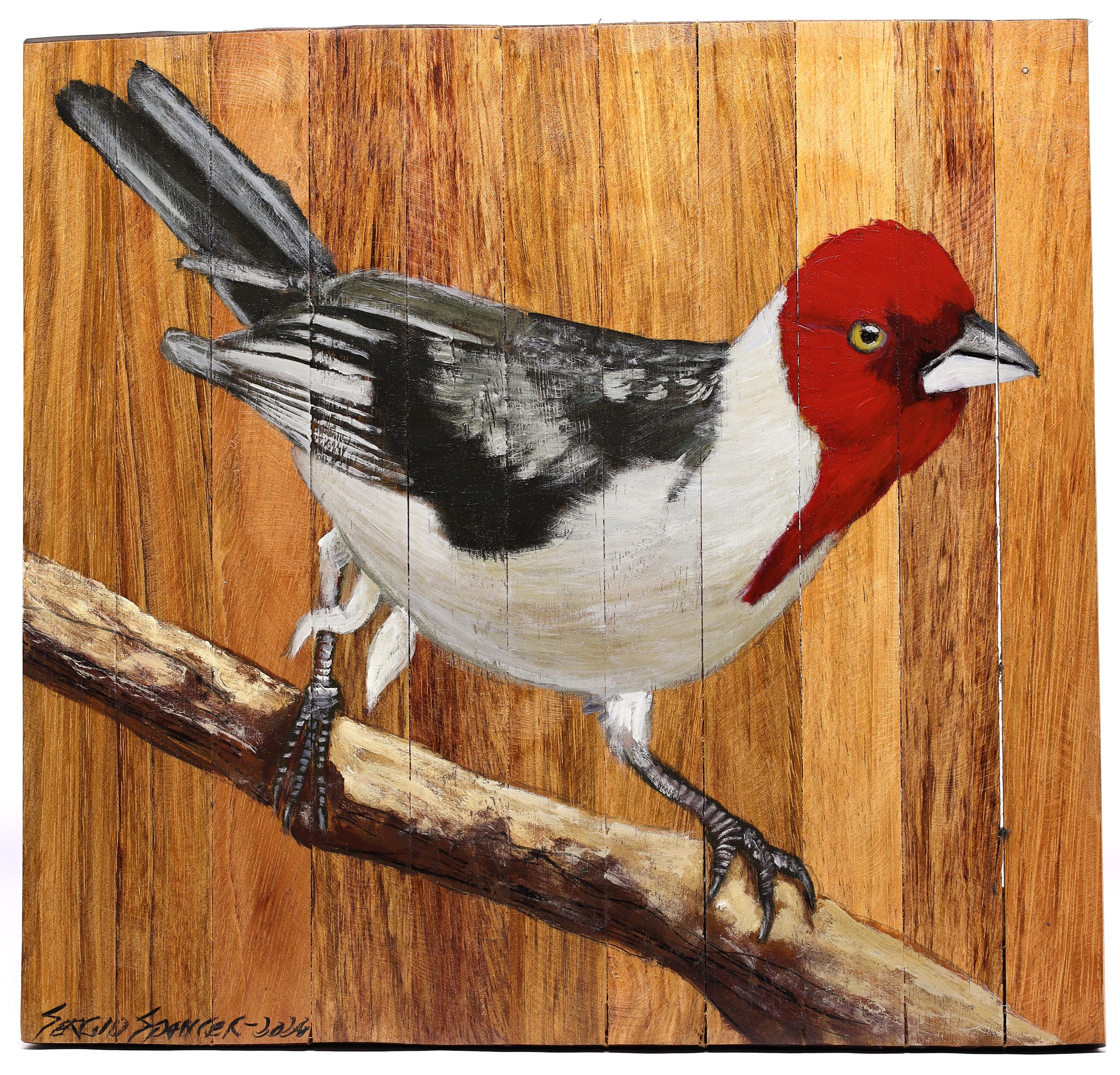 Quadro Decorativo Pássaro Galo de Campina 01 30 X 30 cm