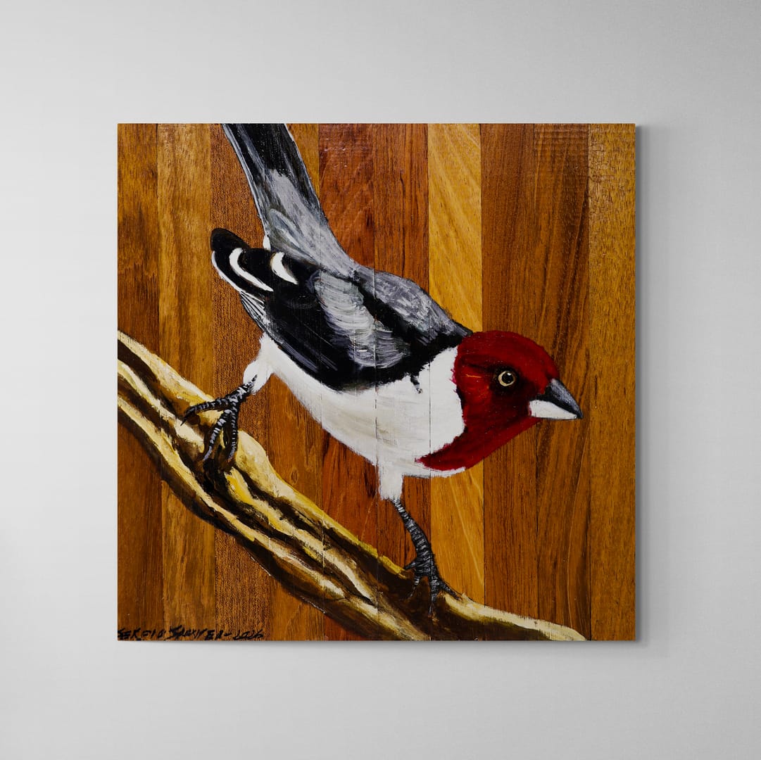 Quadro Decorativo Pássaro Galo de Campina 03 30 X 30 cm