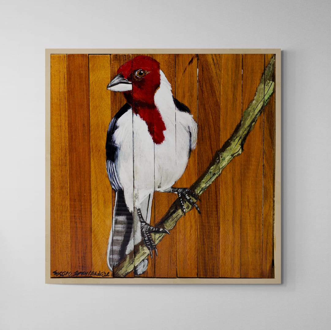 Quadro Decorativo Pássaro Galo de Campina 04 30 X 30 cm