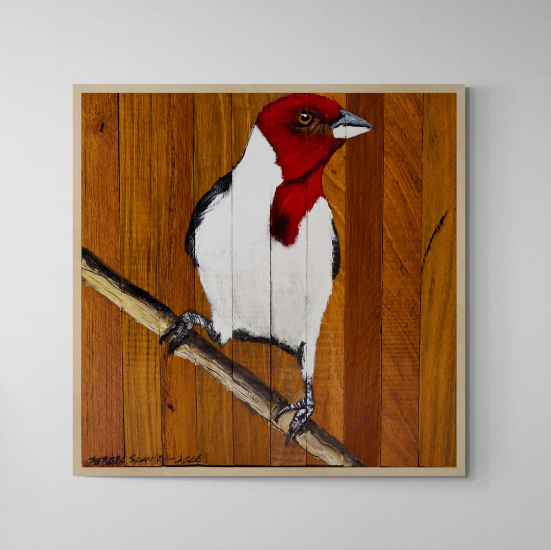 Quadro Decorativo Pássaro Galo de Campina 05 30 X 30 cm