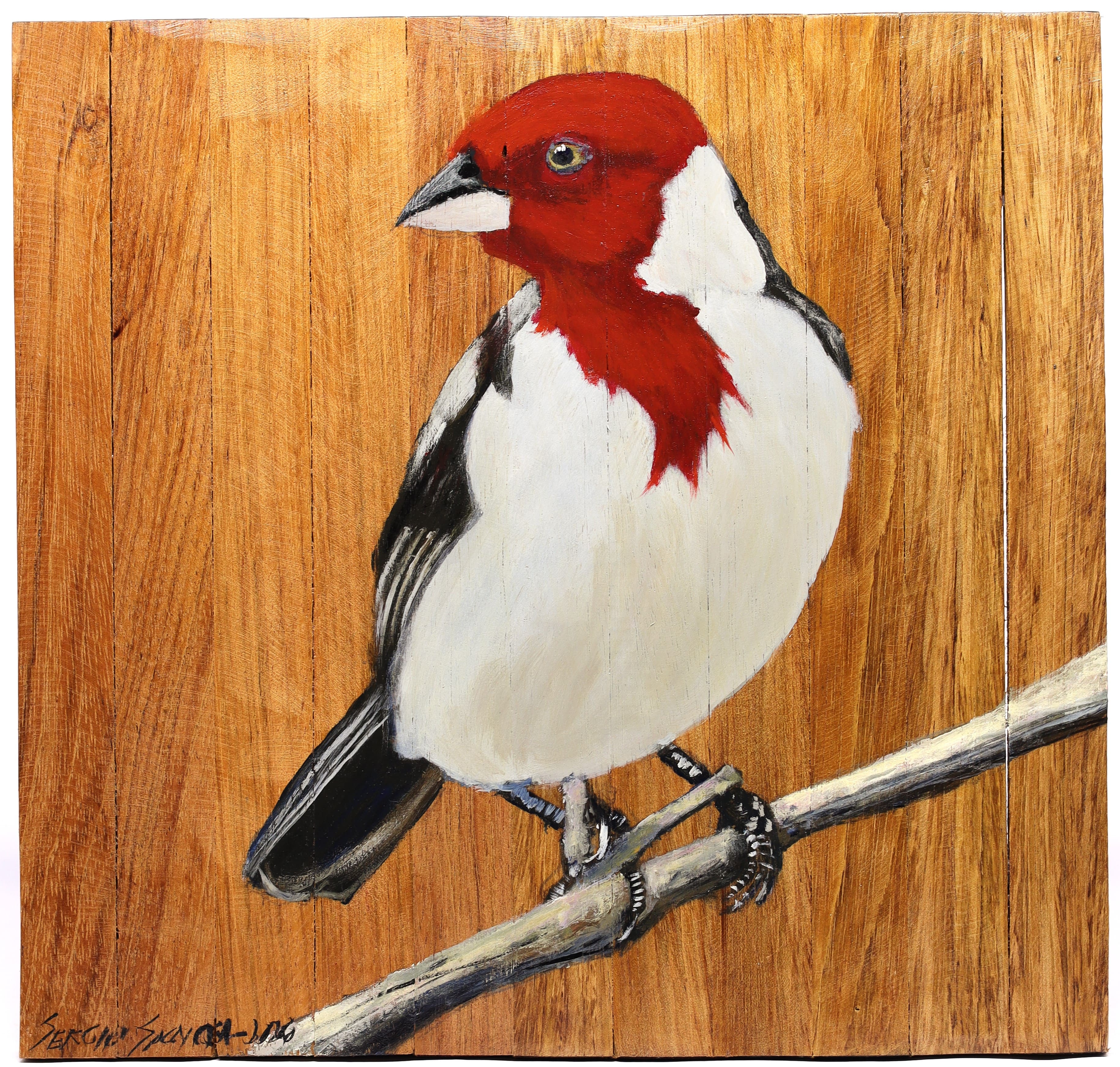 Quadro Decorativo Pássaro Galo de Campina 06 30 X 30 cm