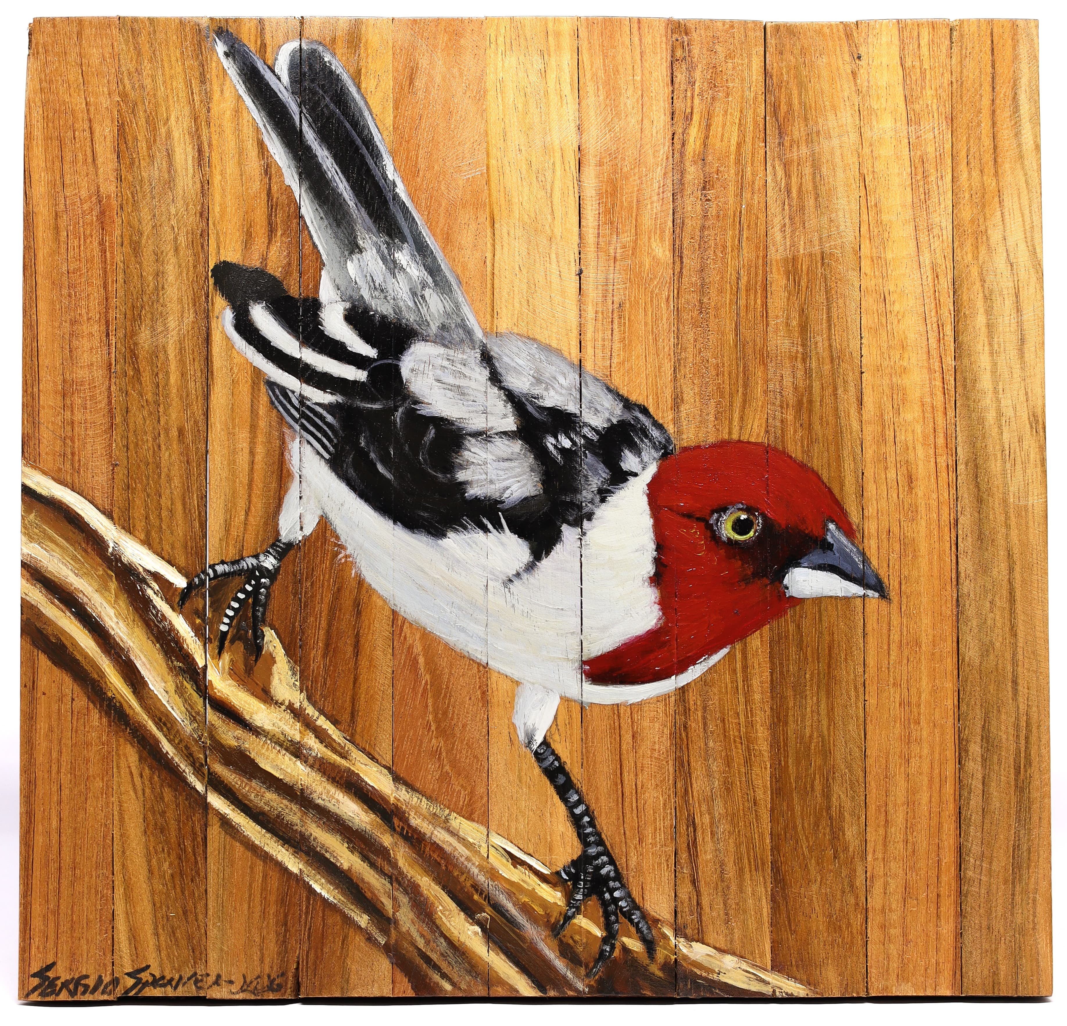 Quadro Decorativo Pássaro Galo de Campina 09 30 X 30 cm