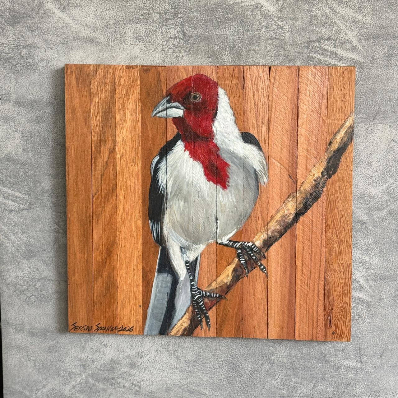 Quadro Decorativo Pássaro Galo de Campina 1 30 X 30 cm