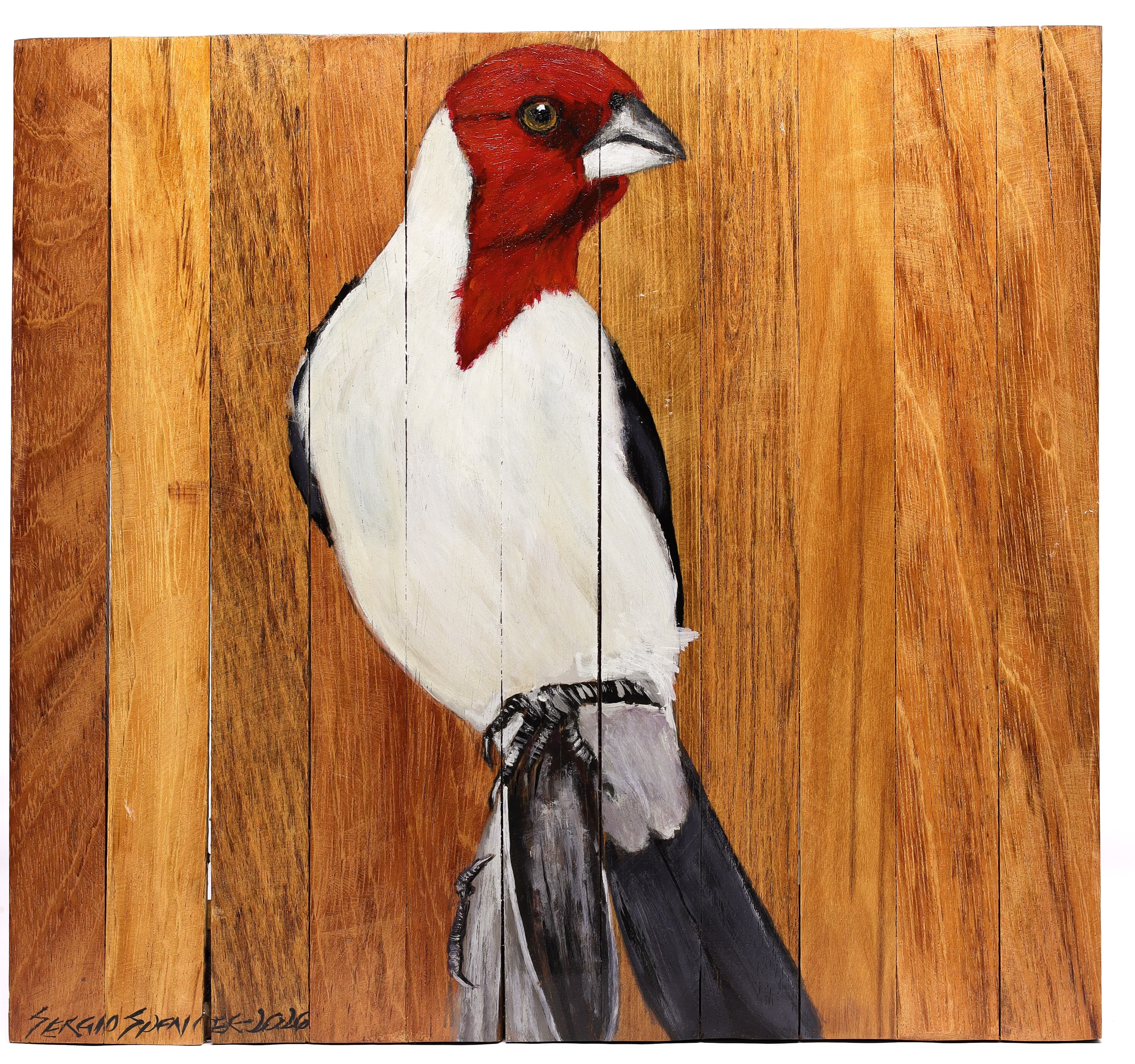 Quadro Decorativo Pássaro Galo de Campina 11 30 X 30 cm