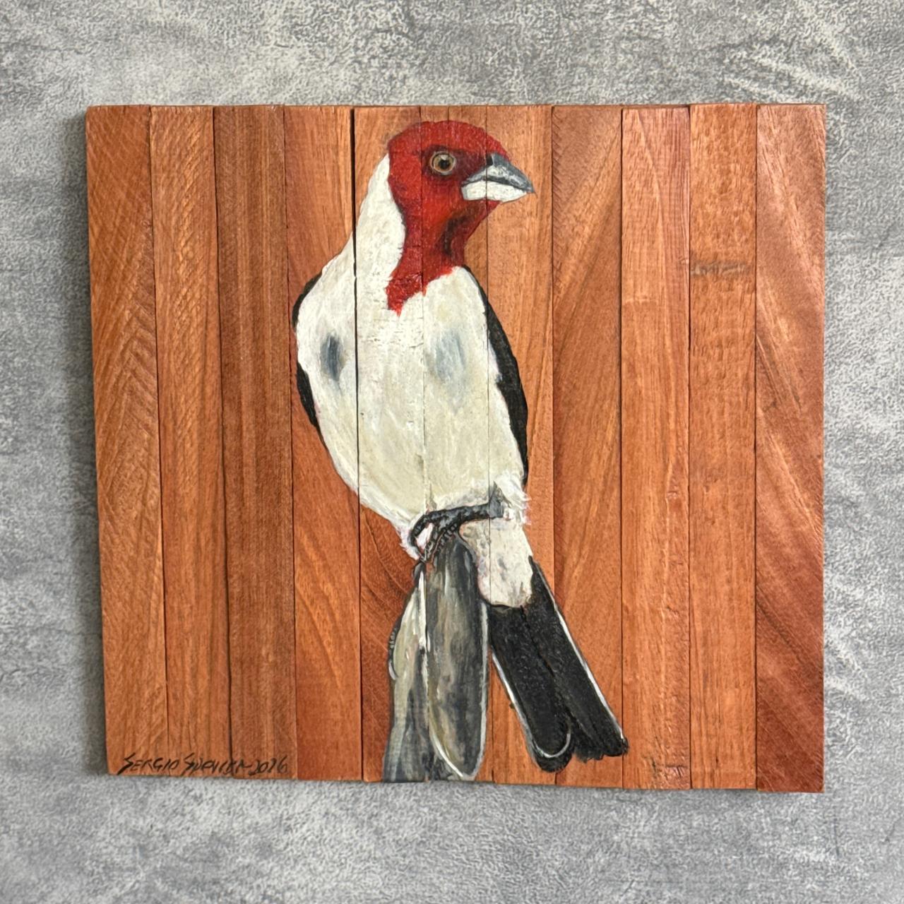 Quadro Decorativo Pássaro Galo de Campina 2 30 X 30 cm