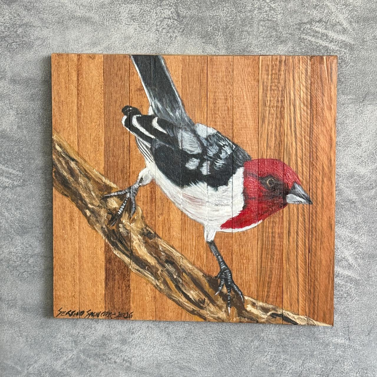 Quadro Decorativo Pássaro Galo de Campina 3 30 X 30 cm