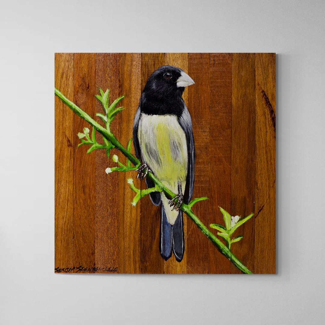 Quadro Decorativo Pássaro Papa Capim 01 30 X 30 cm
