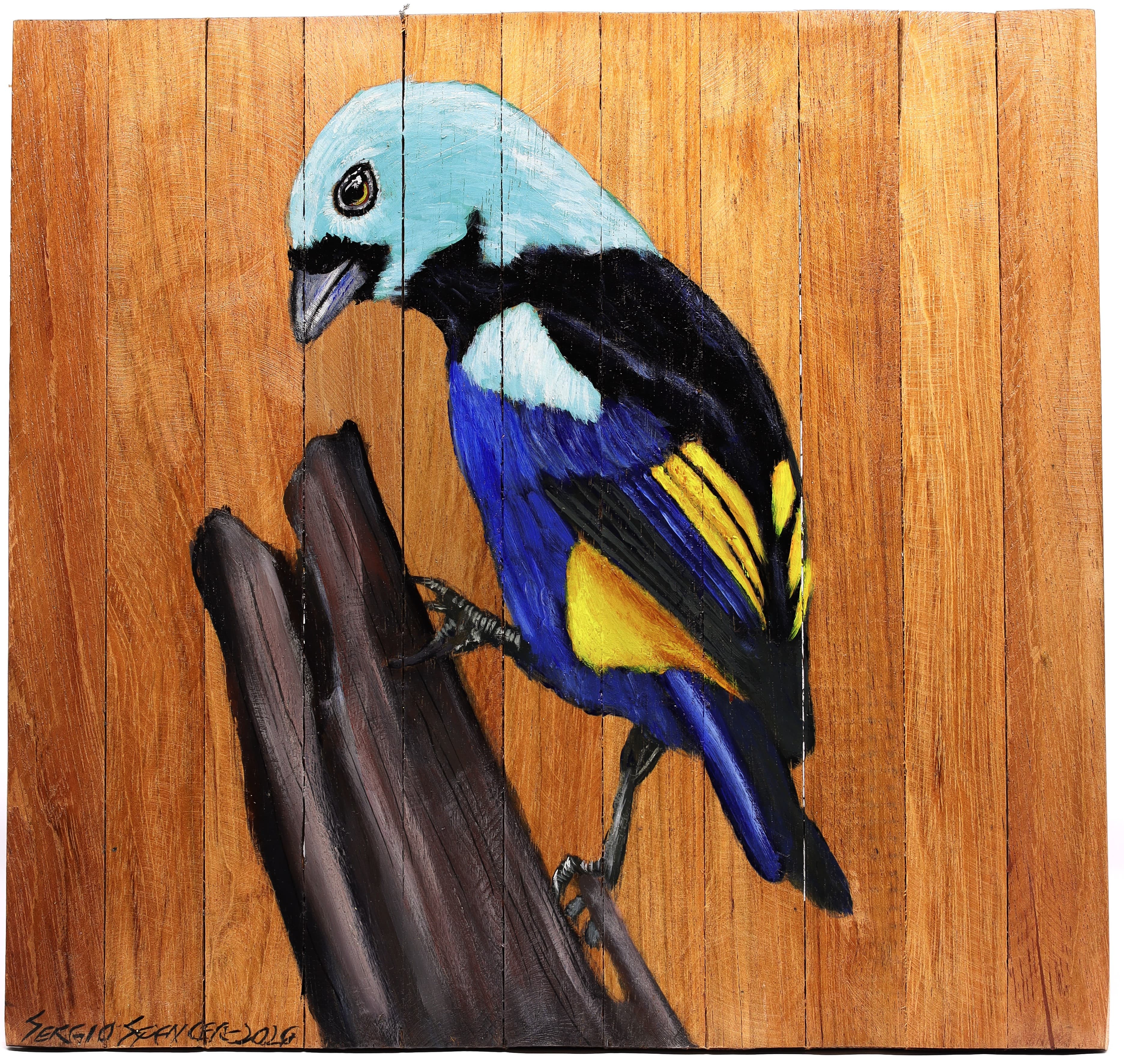 Quadro Decorativo Pássaro Pintor Verdadeiro 01 30 X 30 cm