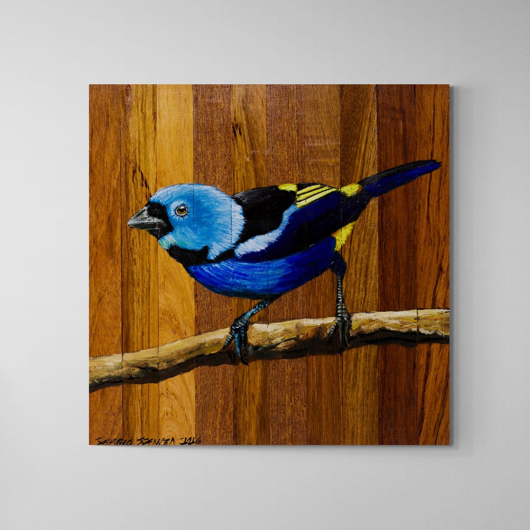 Quadro Decorativo Pássaro Pintor Verdadeiro 30 X 30 cm