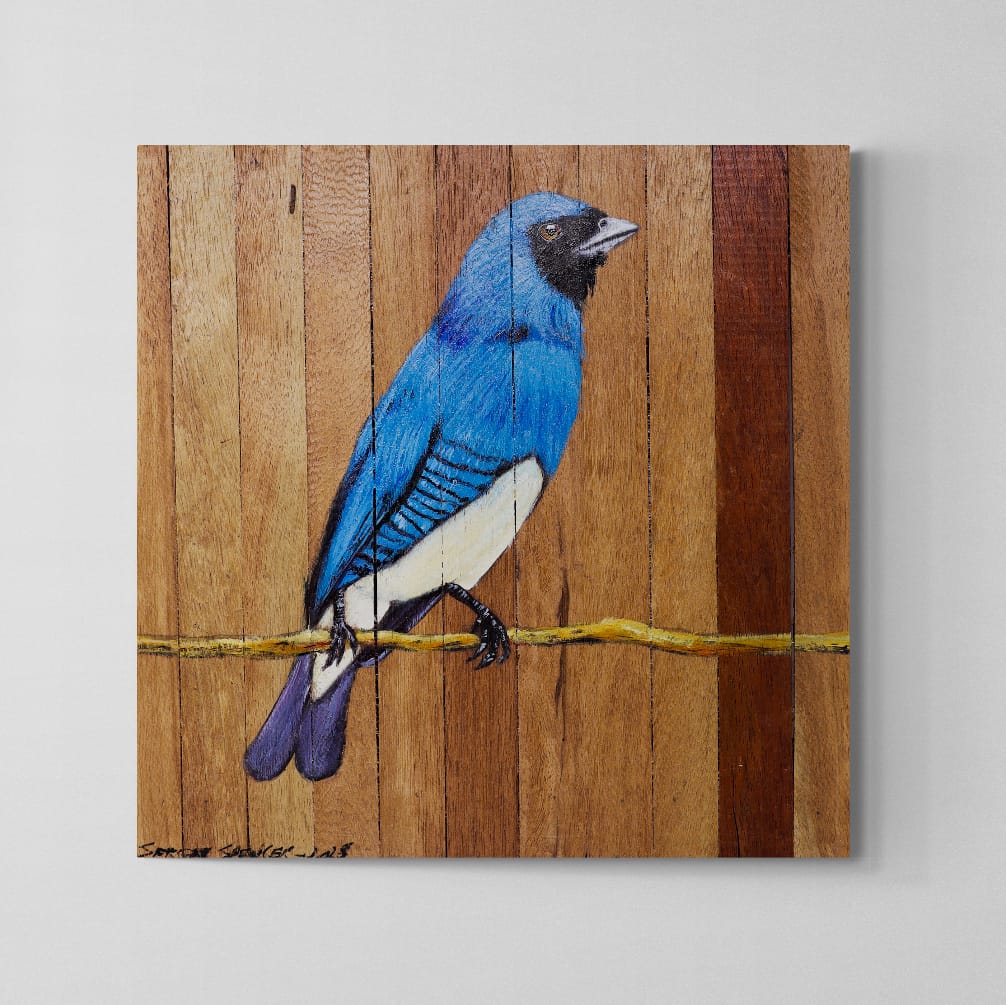 Quadro Decorativo Pássaro Saí Andorinha 30 X 30 cm