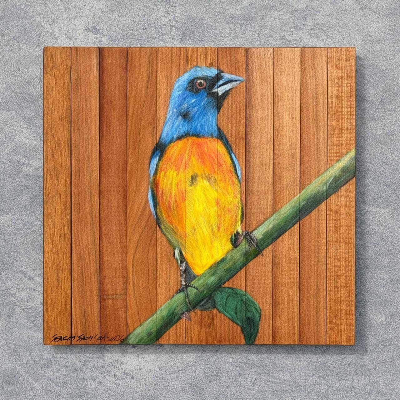 Quadro Decorativo Pássaro Sanhaço de Papo Laranja 2 30 X 30 cm