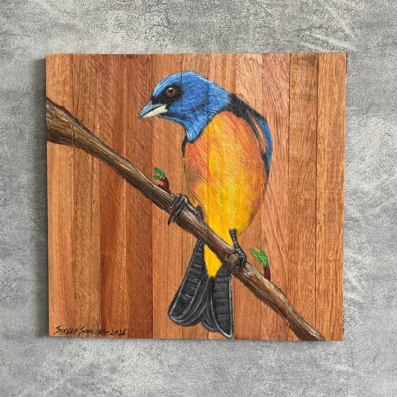 Quadro Decorativo Pássaro Sanhaço de Papo Laranja 3 30 X 30 cm