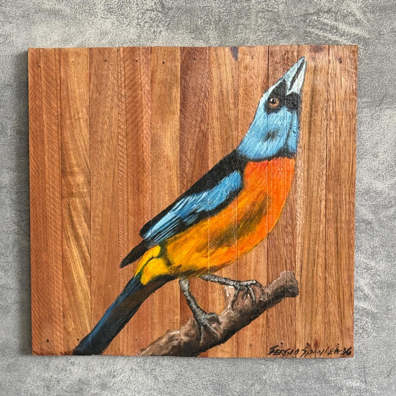 Quadro Decorativo Pássaro Sanhaço de Papo Laranja 30 X 30 cm