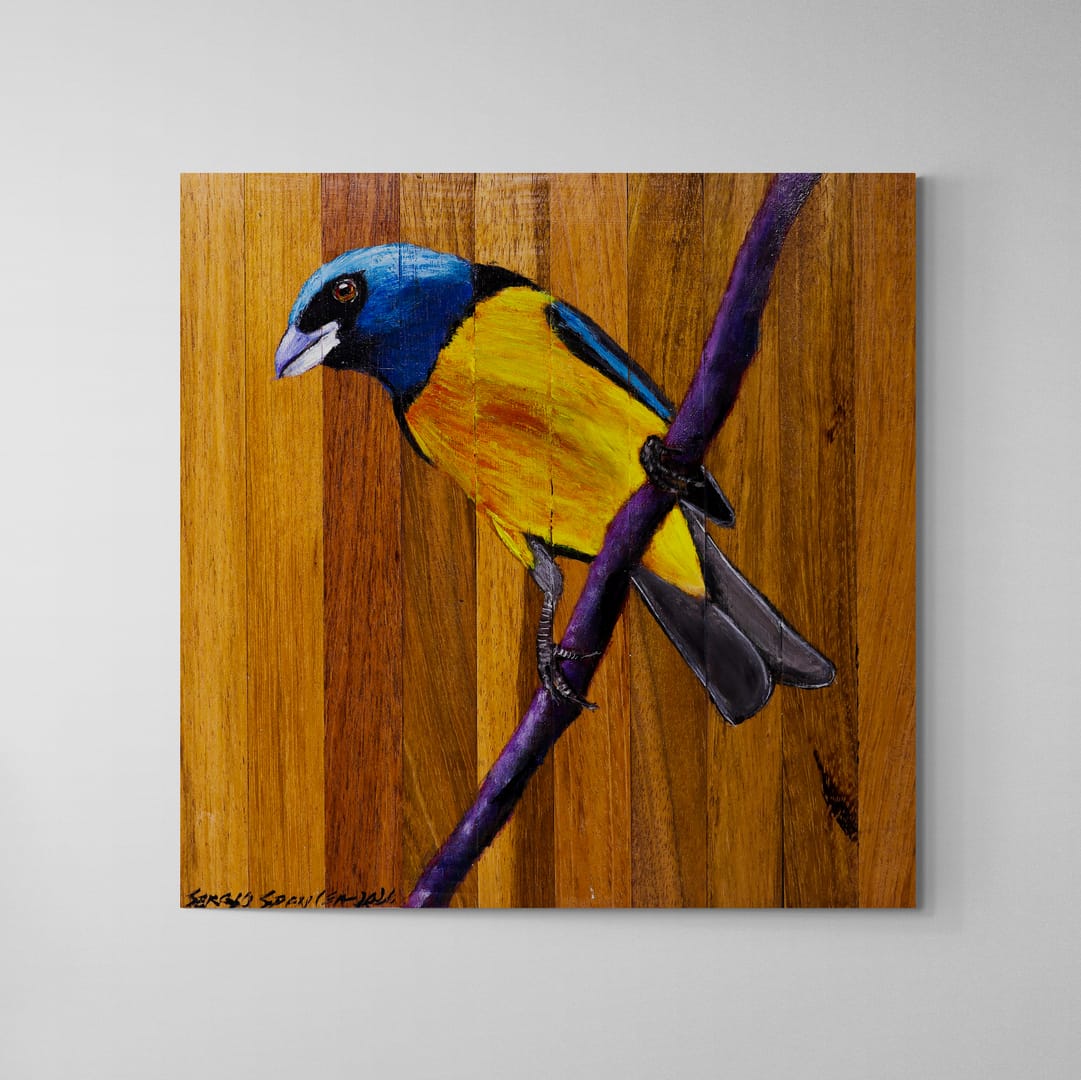 Quadro Decorativo Pássaro Sanhaço de Papo Laranja 30 X 30 cm