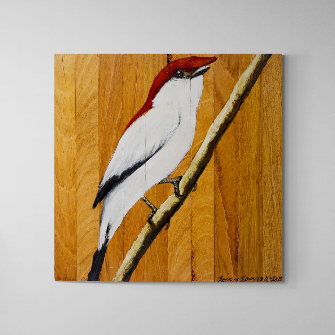 Quadro Decorativo Pássaro Soldadinho do Araripe 30 X 30 cm