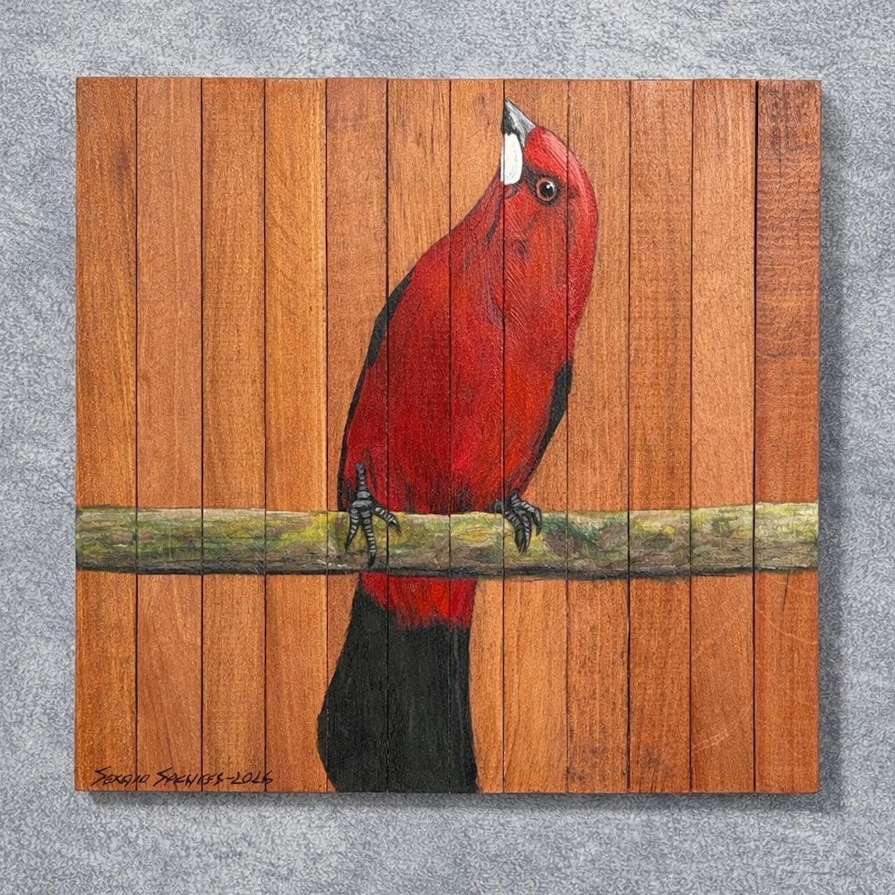 Quadro Decorativo Pássaro Tiê Sangue 2 30 X 30 cm