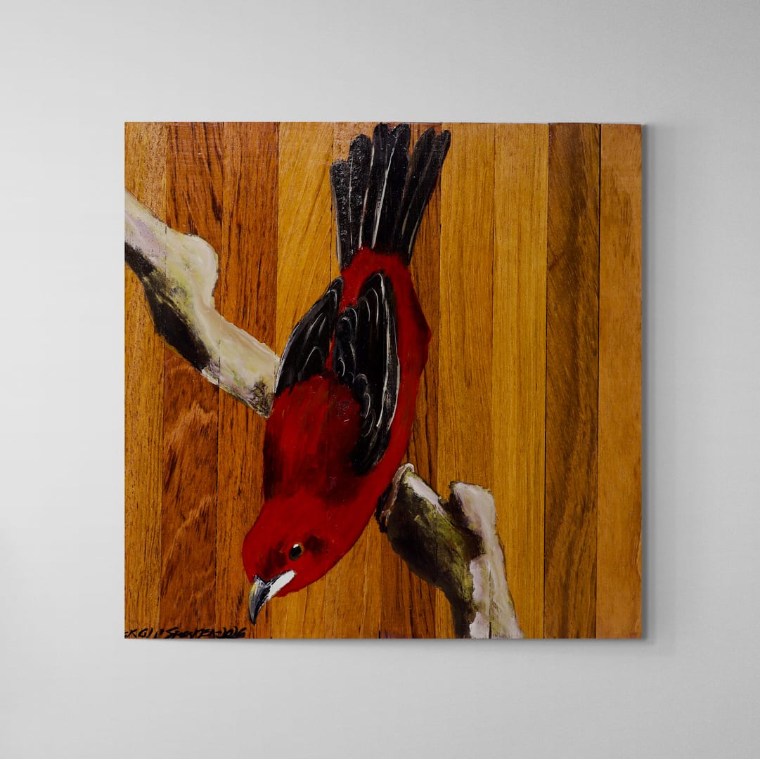 Quadro Decorativo Pássaro Tiê-Sangue 30 X 30 cm
