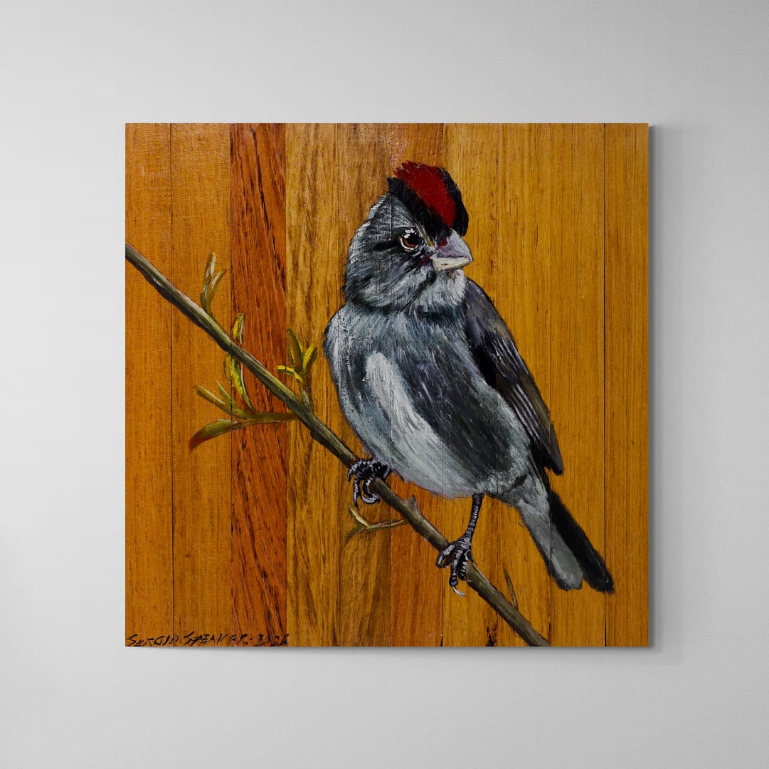 Quadro Decorativo Pássaro Titico Rei 30 X 30 cm