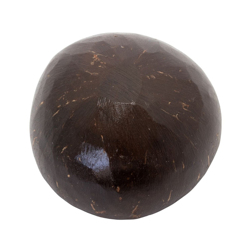 Quenga de Coco 082