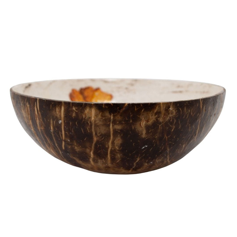 Quenga de Coco 282