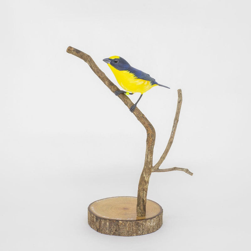 Escultura Pássaro Gaturamo-Verdadeiro 22 cm