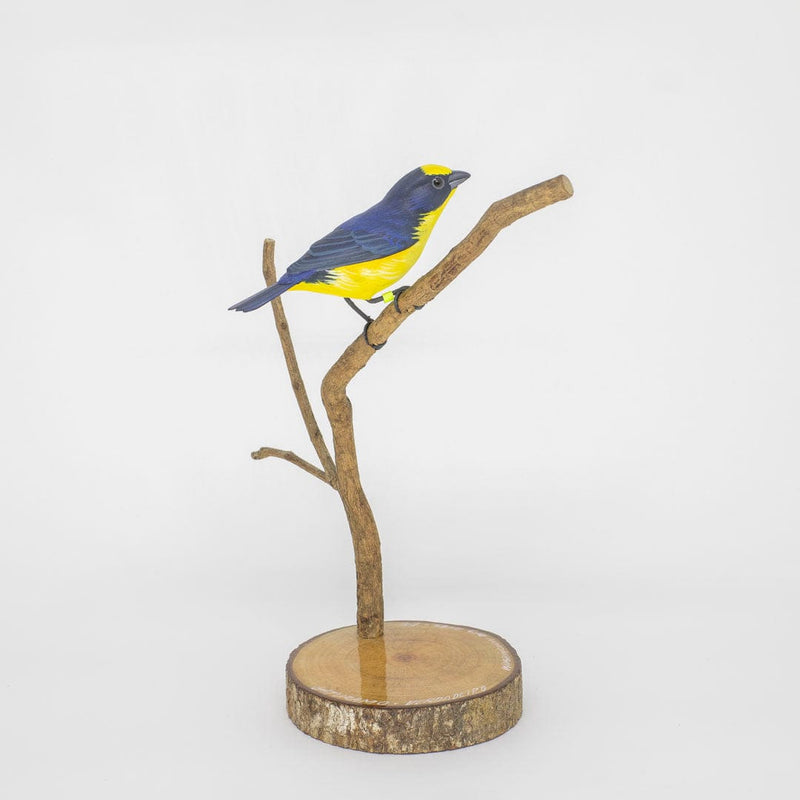 Escultura Pássaro Gaturamo-Verdadeiro 22 cm