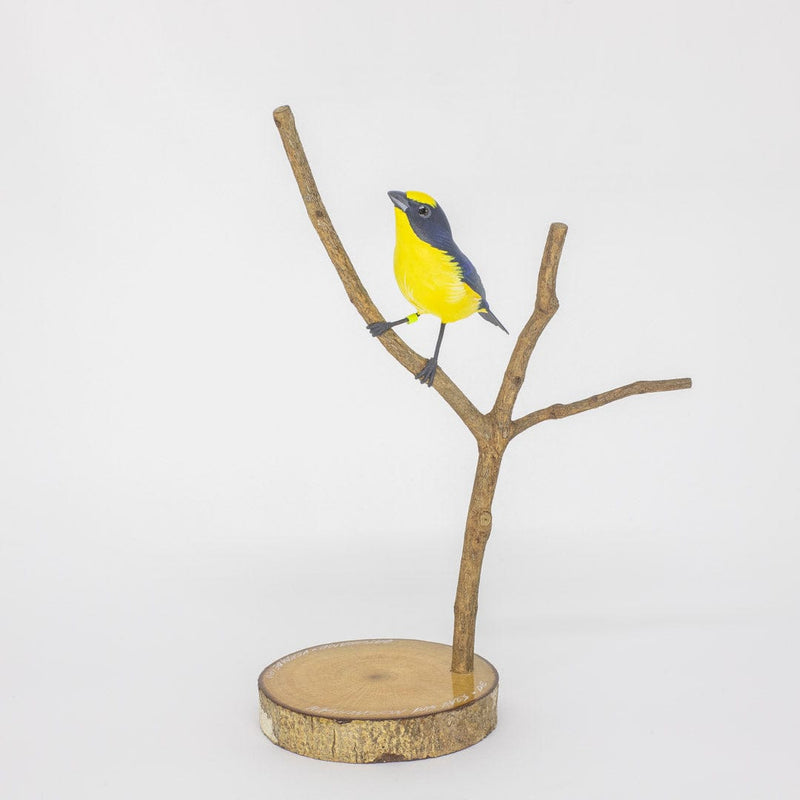 Escultura Pássaro Gaturamo-Verdadeiro 26 cm