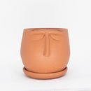 Vaso para Plantas Dorminhoco