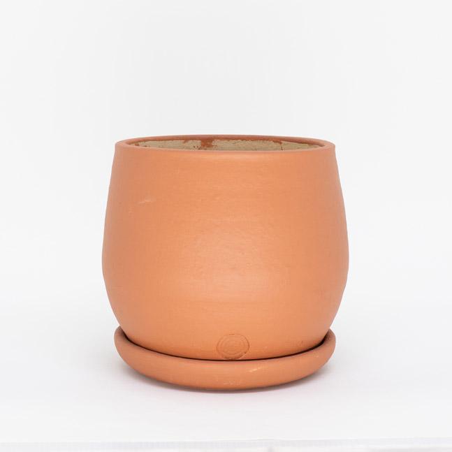Vaso para Plantas Dorminhoco