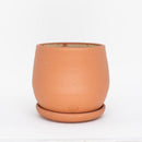 Vaso para Plantas Dorminhoco