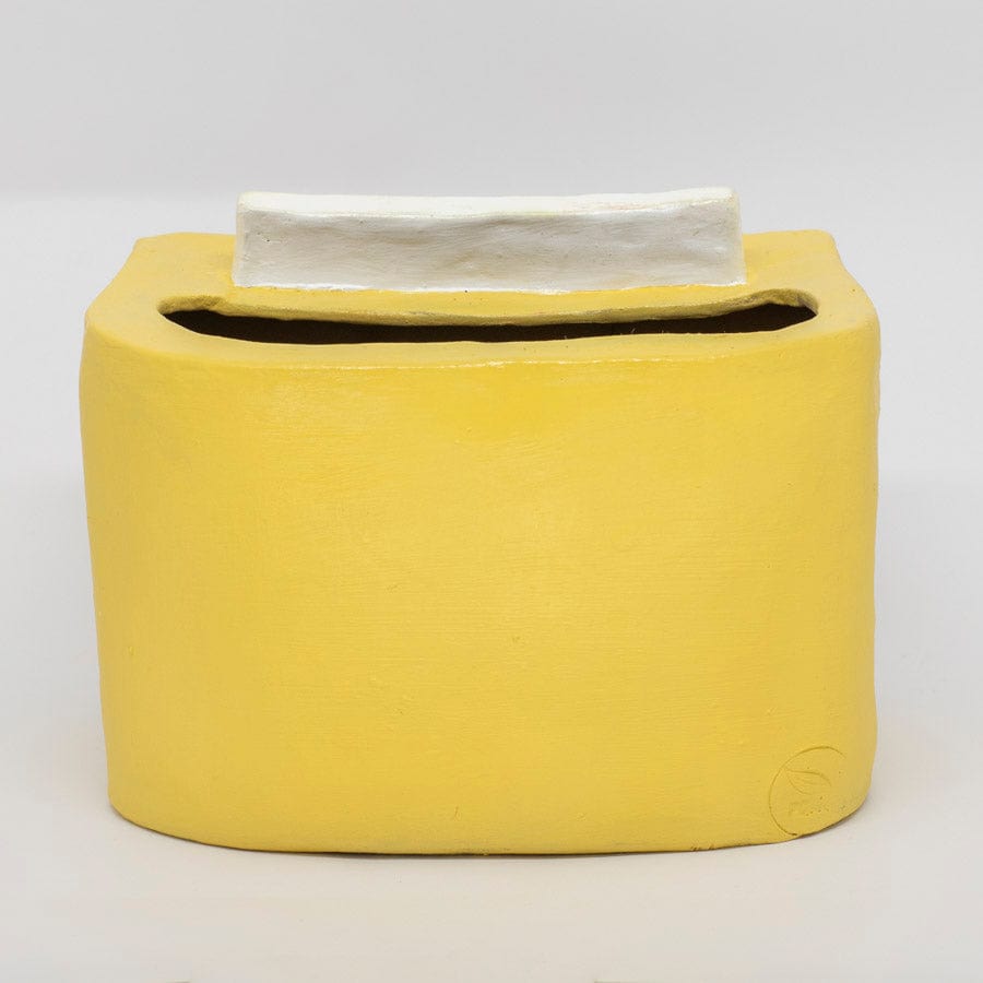 Vaso para Plantas Cinema São Luiz