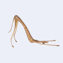 Escultura Cachorro Baleia em Madeira