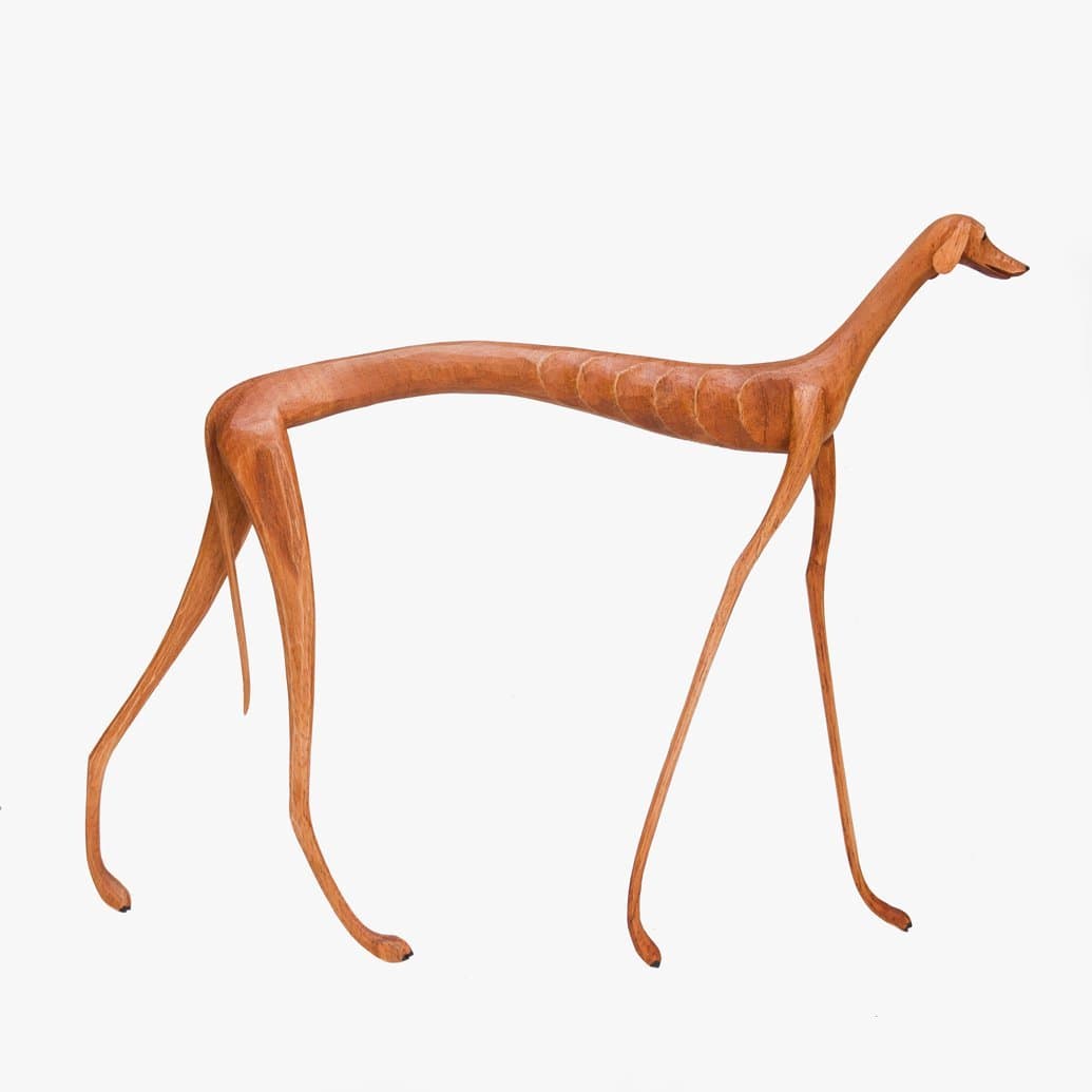 Cachorro baleia andando - Marcos de Sertania