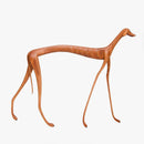 Cachorro baleia andando - Marcos de Sertania