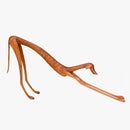 ESCULTURA CACHORRO BALEIA - DECORA GNT - CACHORRO MADEIRA - MARCOS DE SERTANIA